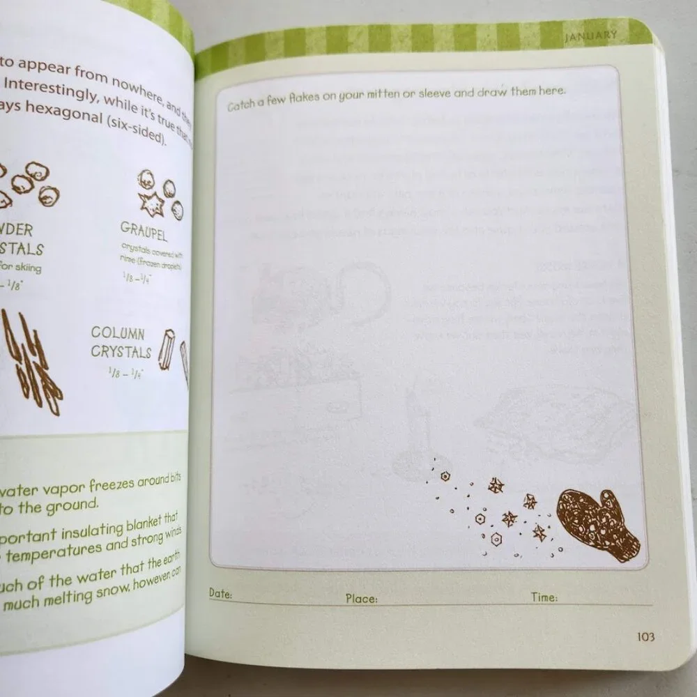 Nature Journal Atcitty Book Workbook Clare Walker Leslie The Nature Connection
